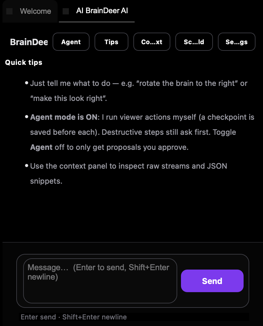 BrainDeer AI chat panel with tips and message box